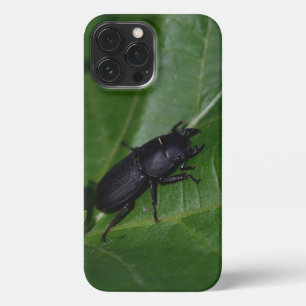 Dorcus parallelipipedus , der kleinere Hirschkäfer iPhone 13 Pro Max Hülle