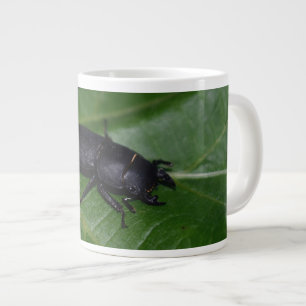Dorcus parallelipipedus , der kleinere Hirschkäfer Jumbo-Tasse