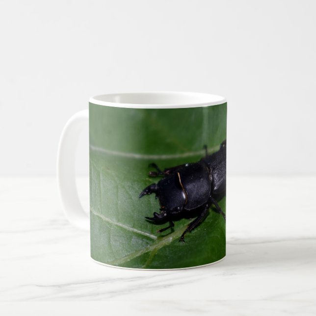 Dorcus parallelipipedus , der kleinere Hirschkäfer Kaffeetasse (Vorderseite Links)
