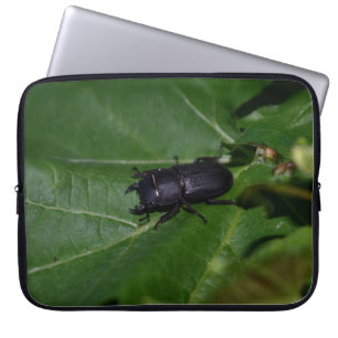 Dorcus parallelipipedus , der kleinere Hirschkäfer Laptopschutzhülle