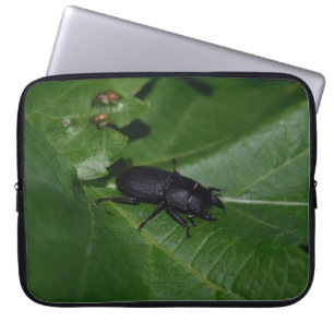 Dorcus parallelipipedus , der kleinere Hirschkäfer Laptopschutzhülle