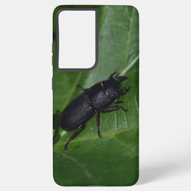 Dorcus parallelipipedus , der kleinere Hirschkäfer Samsung Galaxy Hülle (Rückseite)