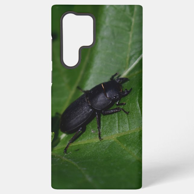 Dorcus parallelipipedus , der kleinere Hirschkäfer Samsung Galaxy Hülle (Rückseite)
