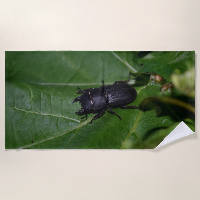 Dorcus parallelipipedus , der kleinere Hirschkäfer Strandtuch (Vorderseite)