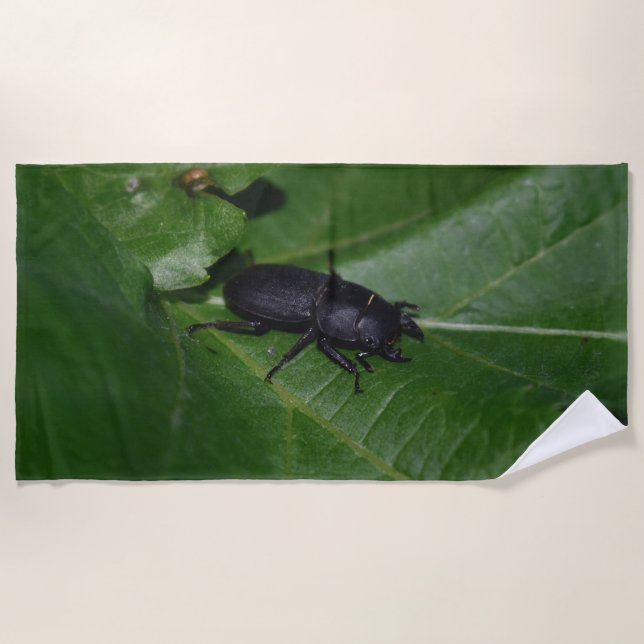 Dorcus parallelipipedus , der kleinere Hirschkäfer Strandtuch (Vorderseite)