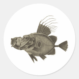 Doree Fisch Illustration Runder Aufkleber