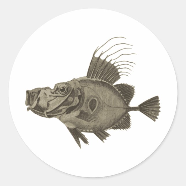 Doree Fisch Illustration Runder Aufkleber (Vorderseite)
