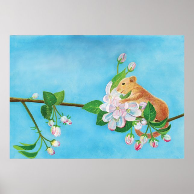 Dormaus auf blühendem Apfelzweig Poster (Vorne)