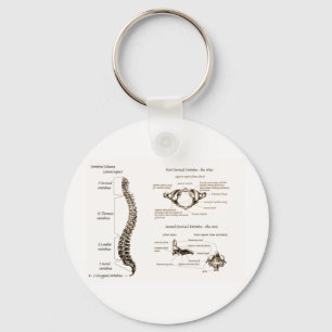 Dorn führt Sepia einzeln auf Schlüsselanhänger