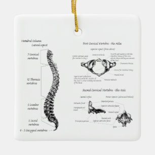 Dorn Keramikornament