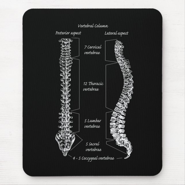 Dorn Mousepad (Vorne)