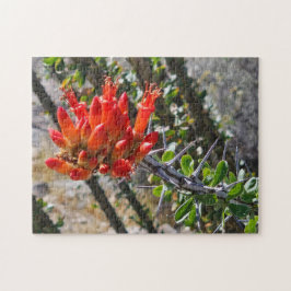Dornen & Feuerblüten Puzzle, 28 cm x 35,5 cm, 252 Puzzle