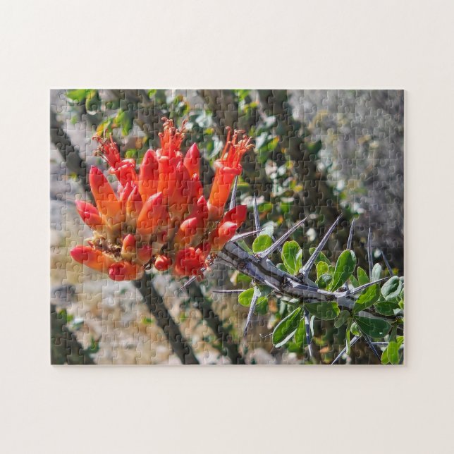Dornen & Feuerblüten Puzzle, 28 cm x 35,5 cm, 252  Puzzle (Horizontal)