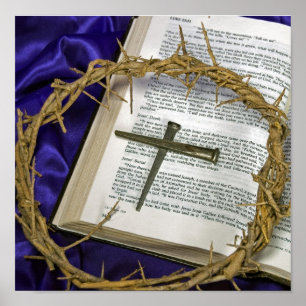 Dornenkrone mit Nägeln Poster