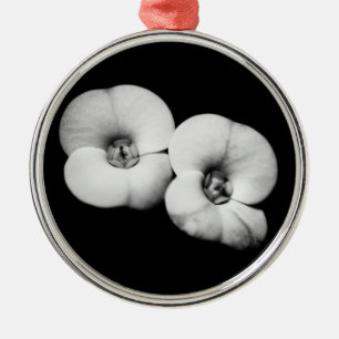 Dornenkrone Silbernes Ornament