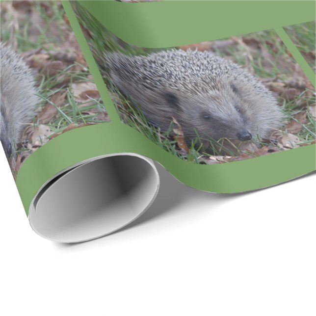Dornige Geschenkpapier (Rolleneckpunkt)