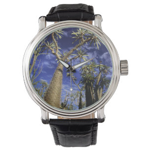 Dorniger Wald aus Pachypodium-Bäumen Armbanduhr