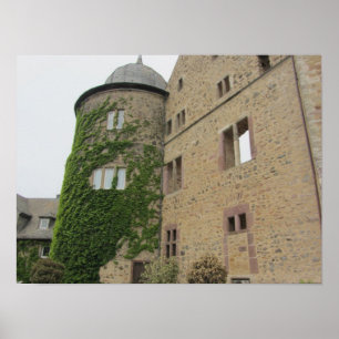 Dornröschenschloss Poster