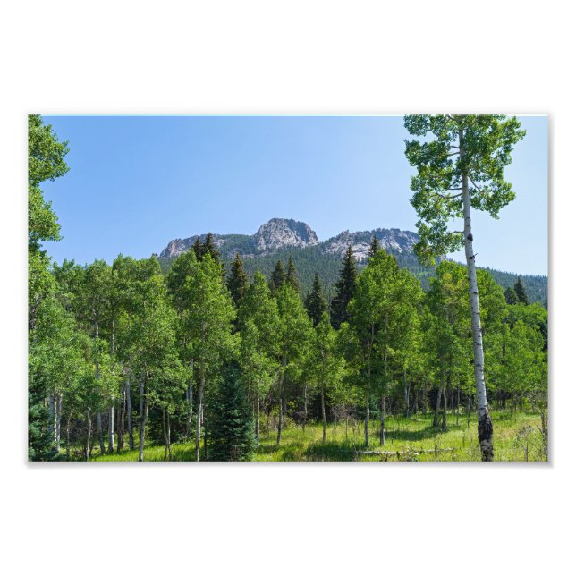 Dorodigipfel über Wäldern am goldenen Tor Fotodruck (Vorne)