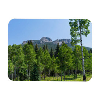 Dorodigipfel über Wäldern am goldenen Tor Magnet