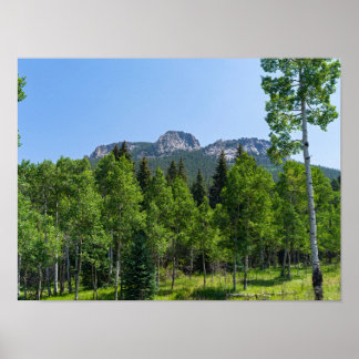 Dorodigipfel über Wäldern am goldenen Tor Poster