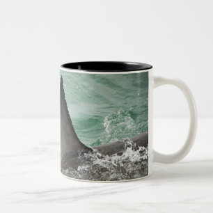 Dorsales Querruder eines Weißen Hais Zweifarbige Tasse