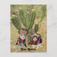 Dos Gatos