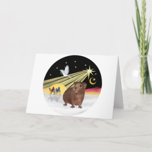 Dose - Guinea Schwein 3 Feiertagskarte
