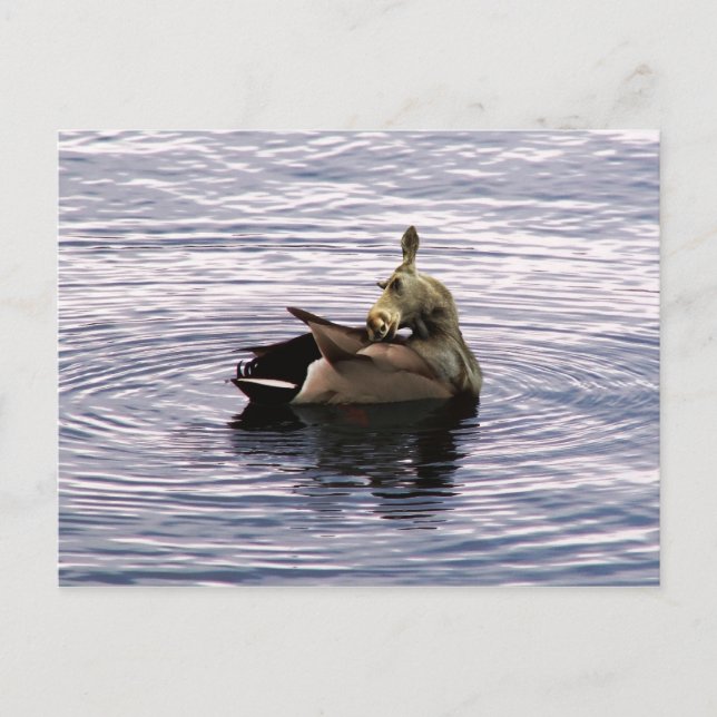 Dose Postkarte (Vorderseite)