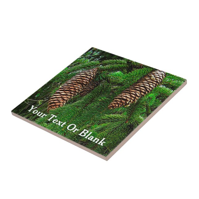 Dosen und Nadeln Fliese (Seite)