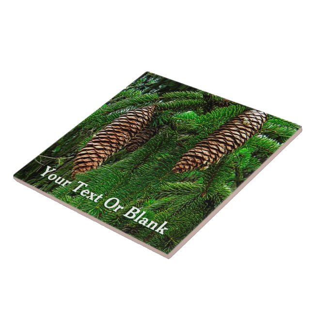 Dosen und Nadeln Fliese (Seite)