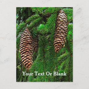 Dosen und Nadeln Postkarte