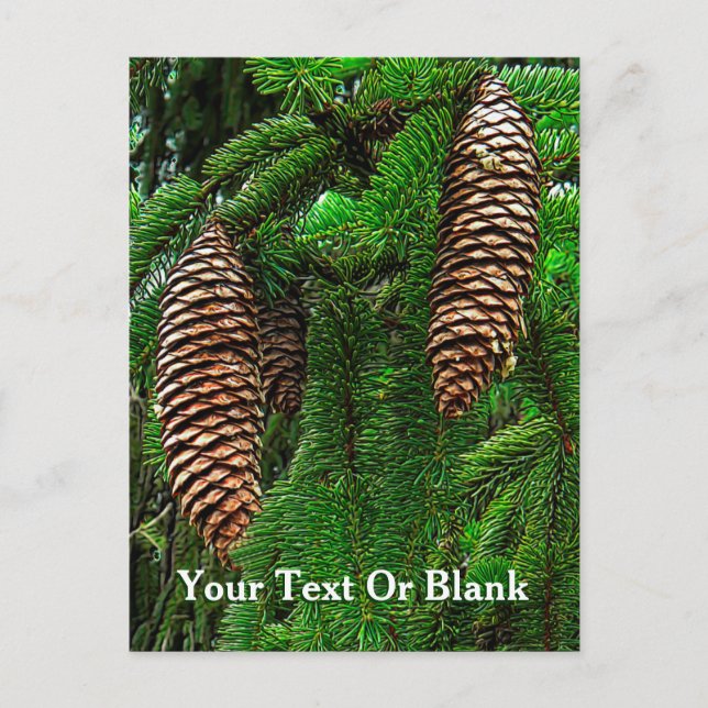 Dosen und Nadeln Postkarte (Vorderseite)