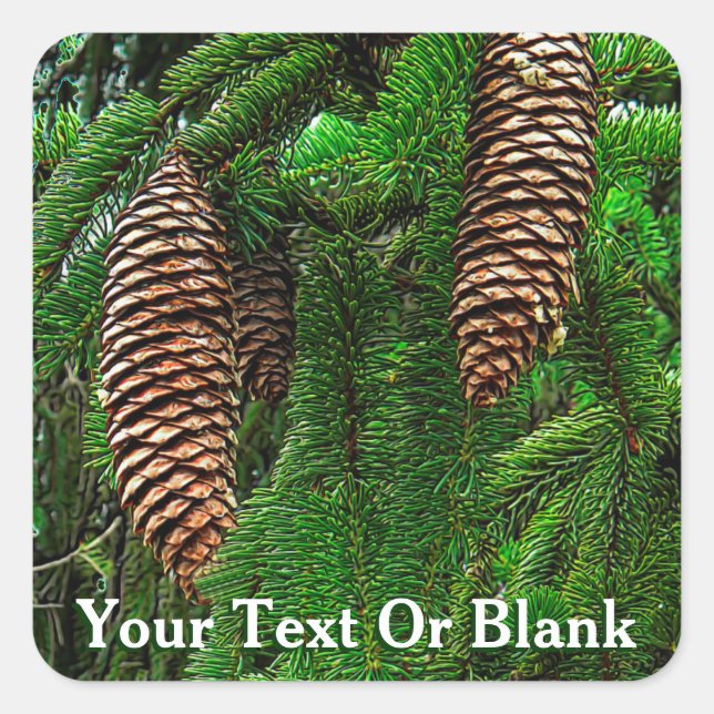 Dosen und Nadeln Quadratischer Aufkleber (Vorderseite)