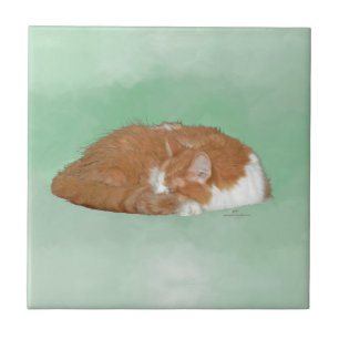 Dösende Orange Katze Fliese