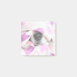 Dosennose - Anmerkungen Post-it Klebezettel