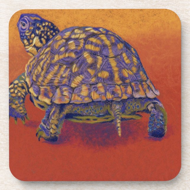 Dosenschildkröte, Schildkröte Untersetzer (Vorderseite)