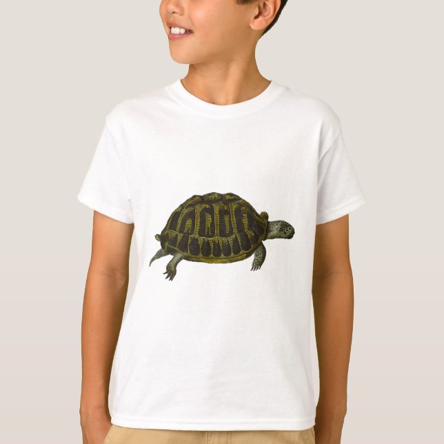 Dosenschildkröte T-Shirt (Vorderseite)