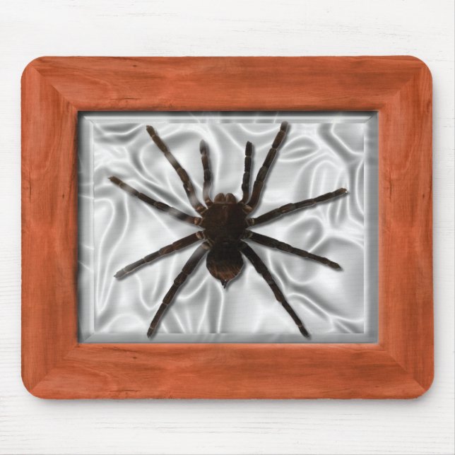 Dosierungskasten - Tarantula Mousepad (Vorne)