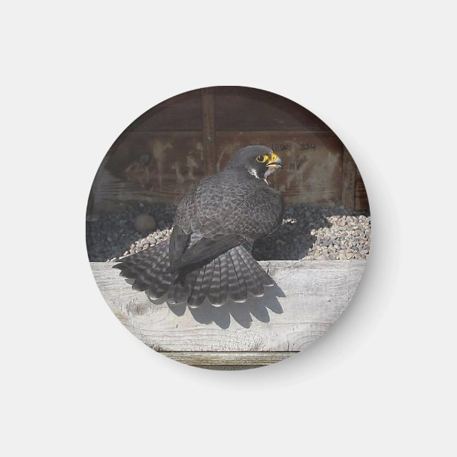 Dot.ca Magnet (Vorne)