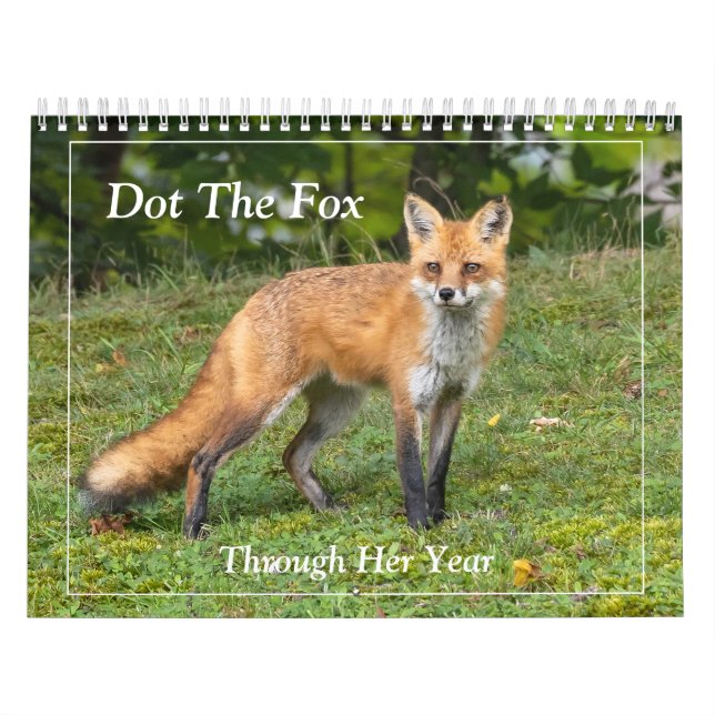 Dot the Fox Kalender (Titelbild)