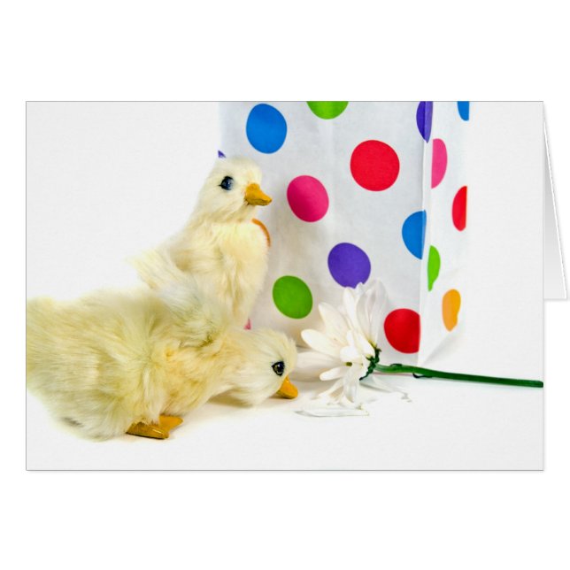 Dots, Enten und Daisy (Vorderseite (Horizontal))