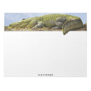 Dotted - Natur Fotografie Riesiger Gator Panorama Notizblock