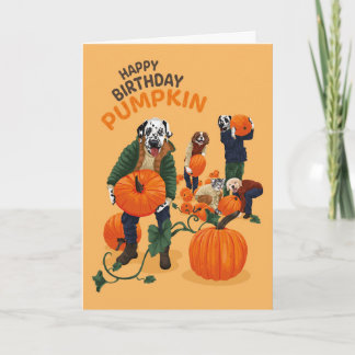 Dotty Hund Dalmatiner Geburtstag Pumpkin Grußkarte Karte