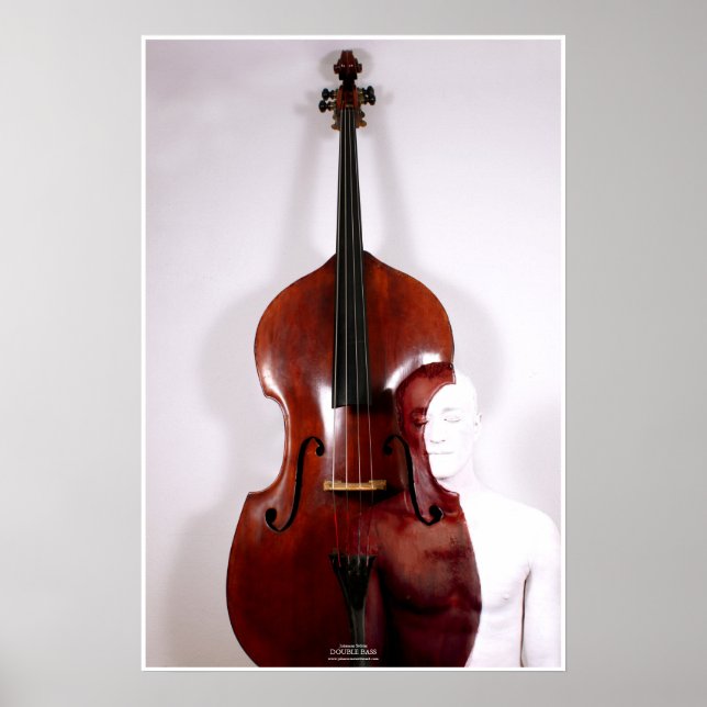 Double Bass by Johannes Stötter Poster (Vorne)