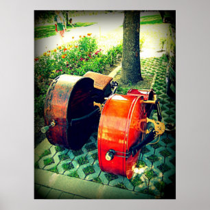 Double Bass Couple Poster