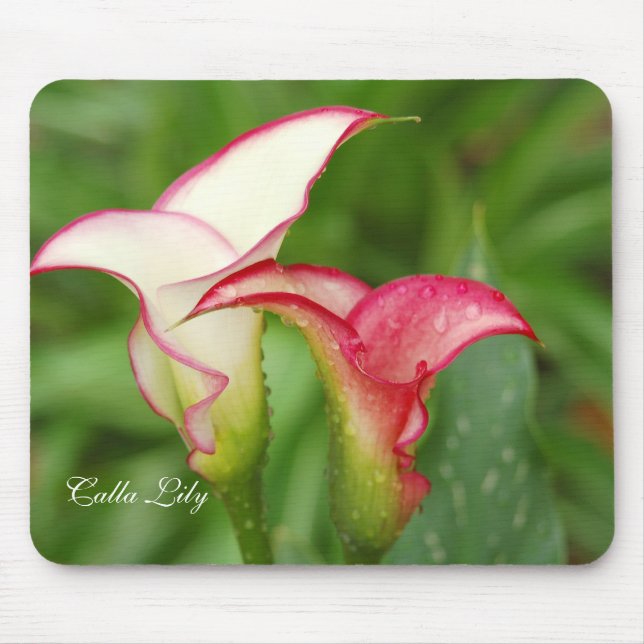 Double Calla Lily Mousepad (Vorne)