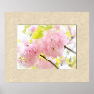 Double Cherry Blossom: Benitemari Poster