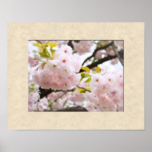 Double Cherry Blossom: Oh jochin ポ ス タ Poster