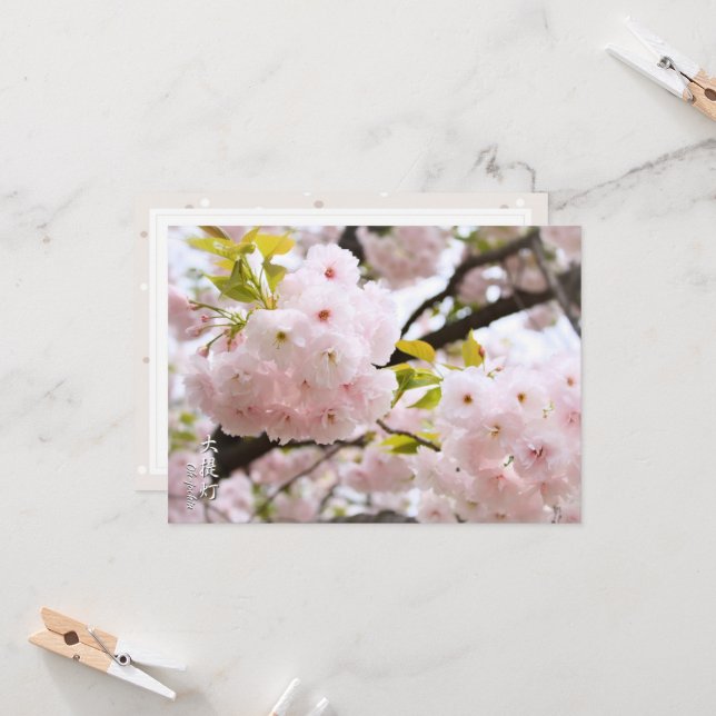 Double Cherry Blossom: Oh-jochin Karte (Vorderseite/Rückseite Beispiel)